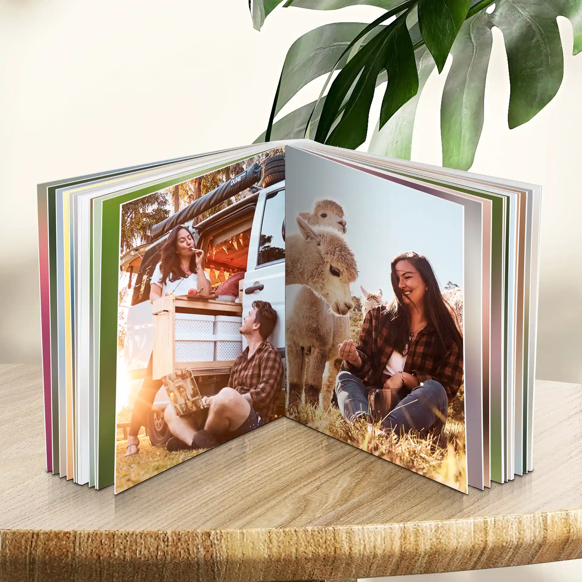 Fotobuch Premium im 20x20 cm Format: Softcover mit hochwertigem Druck – elegante Präsentation Ihrer Erinnerungen in Premium-Qualität